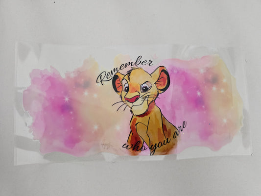 Remember Who You Are Lion King