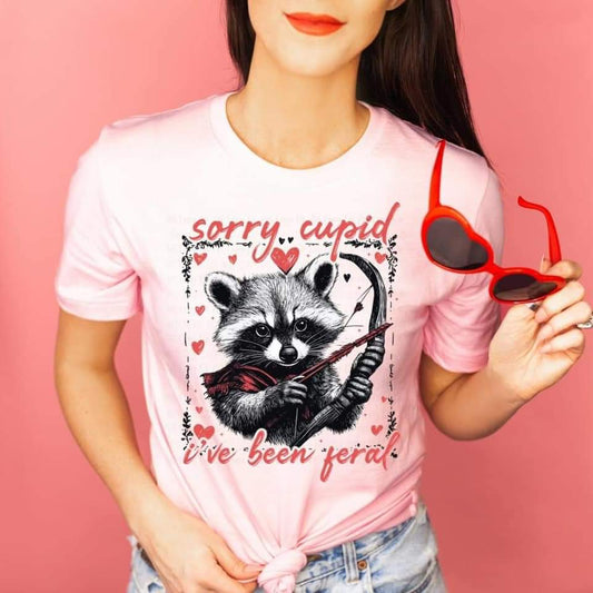 Sorry Cupid I've Been Feral Racoon - Transfer