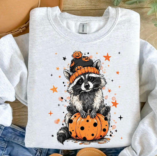 Pumpkin Racoon - Transfer