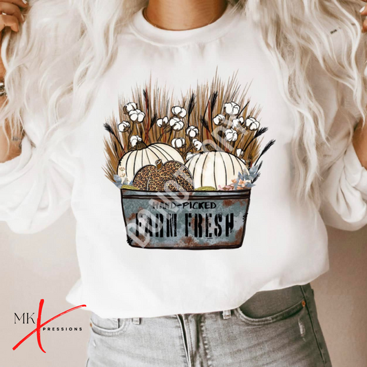 Hand-Picked Farm Fresh Pumpkin - Transfer